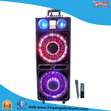 Double 10 Inch Professinal Stage Speaker with Colorful Light F633
